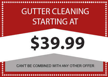 Gutter Cleaning Starting at $39.99