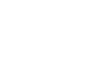 Licensed and Insured